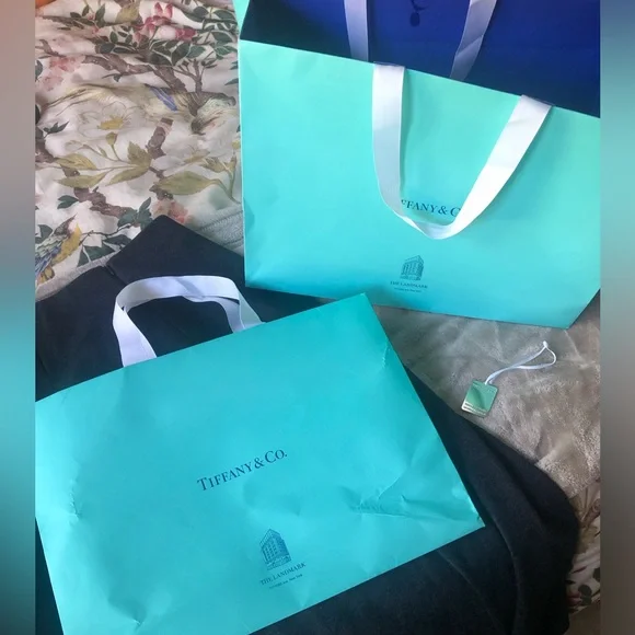 Tiffany & Co. Two large shopping bags and Landmark charm - Picture 2 of 12
